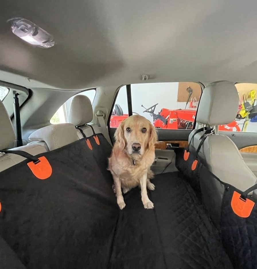 Carolin R. mit ihrem Golden Retriever auf dem Pawnia Roadie im SUV