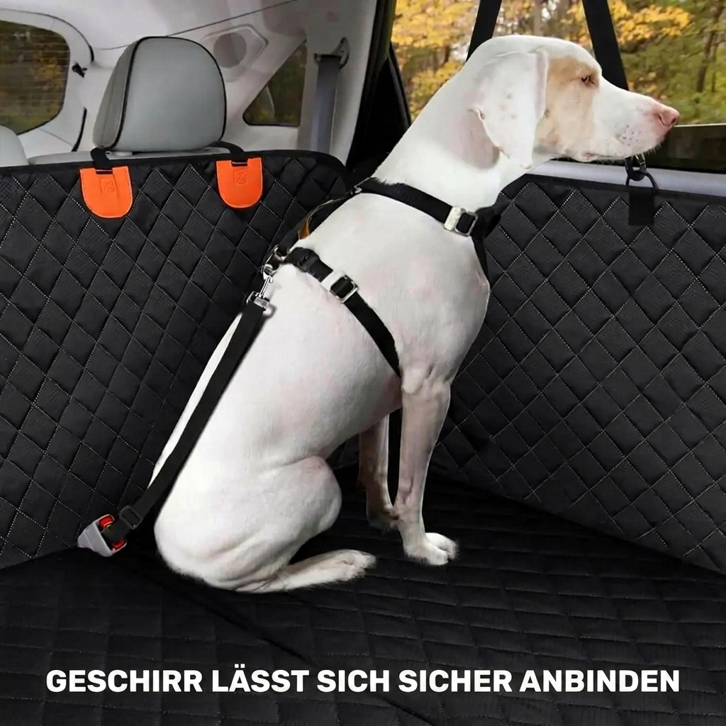 Hund mit Geschirr sicher am Pawnia Roadie angebunden auf der Rückbank