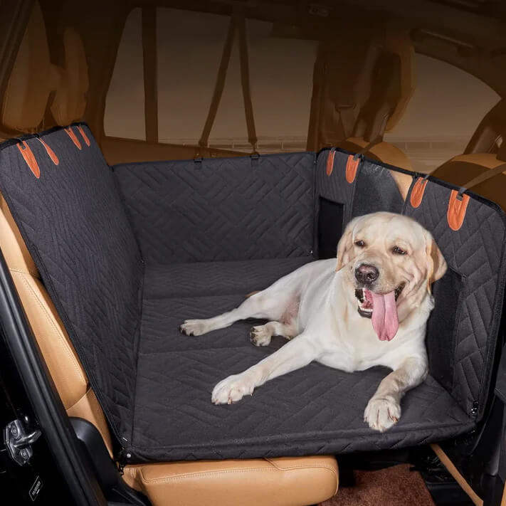 Pawnia Roadie Auto-Hängematte für Hunde in Schwarz mit Hund auf der Rückbank